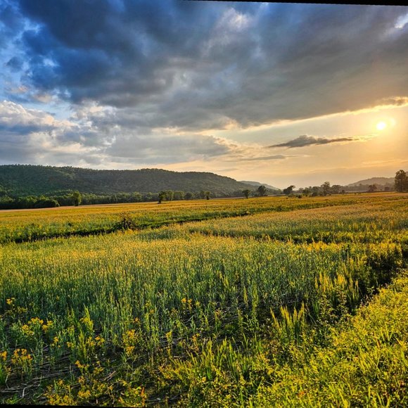 Meet your Posher, Kimberley - Picture 2 of 5